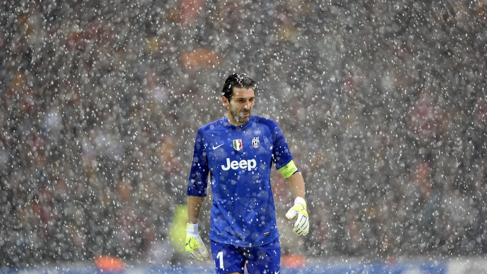 张某在女足比赛中表现出色，成为焦点，张某在足球世界杯期间参加下列活动